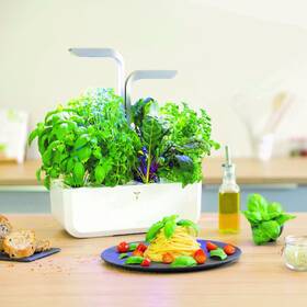 Inteligentný kvetináč Véritable SMART biely

 obrázok produktu 10 z 16