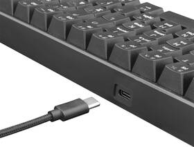 Klávesnica White Shark SHINOBI, US layout, Red Switch čierna

 obrázok produktu 2 z 6