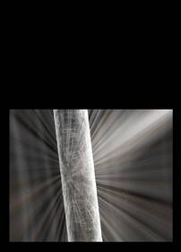 Fén Dyson Supersonic HD07 T3/T4 pruská modrá/medená medený

 obrázok produktu 15 z 16