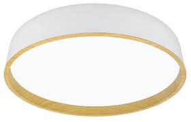 LED stropné svietidlo Top Light Dekor 40B RC biele

 obrázok produktu 2 z 4