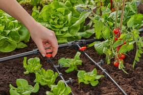 Ventil regulačný Gardena MicroDrip System 4,6 mm (2 ks) 

 obrázok produktu 4 z 5