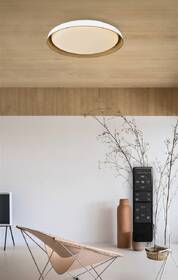LED stropné svietidlo Top Light Satellite 40B RC, 36W, 3600lm, 43cm, s diaľkovým ovládačom, stmievanie, teplá/neutrálna/studená biela biele/hnedé

 obrázok produktu 3 z 3