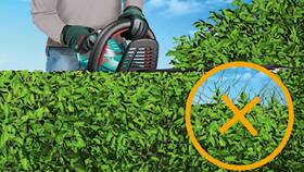 Nožnice na živý plot Bosch UniversalHedgeCut 18-55 (s batériou) 

 obrázok produktu 5 z 7