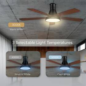 Ventilátor stropný Rohnson R-8155 čierny/hnedý

 obrázok produktu 6 z 11