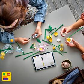 Stavebnica LEGO® Botanicals 10347 Drobná slunečná kytice 

 obrázok produktu 7 z 9