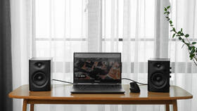 Reproduktory Swan D1100 (2 ks) hnedé

 obrázok produktu 10 z 14