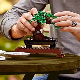Stavebnica LEGO® Botanicals 10281 Bonsaj 

 obrázok produktu 8 z 8