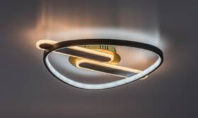 LED stropné svietidlo Rabalux Brantiel 71467 čierne/zlaté

 obrázok produktu 4 z 8