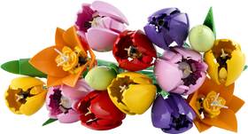 Stavebnica LEGO® Botanicals 11501 Kytice tulipánů 

 obrázok produktu 1 z 9