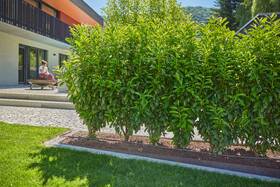 Hadica kvapkacia Gardena MicroDrip System 13 mm, 50 m 

 obrázok produktu 4 z 5