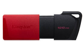 USB flashdisk Kingston DataTraveler Exodia M 128GB červený

 obrázok produktu 2 z 5