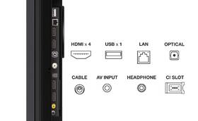 Televízor TCL 55C845 

 obrázok produktu 9 z 13