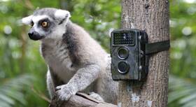 Fotopasca Technaxx TX-69 Wild Cam 

 obrázok produktu 8 z 9