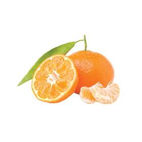 Sirup Moštěnický Sirup Mandarínka 

 obrázok produktu 1 z 2