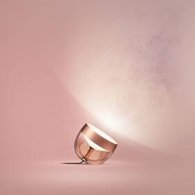 Stolná lampa Philips Iris Copper Special Edition medená

 obrázok produktu 3 z 6