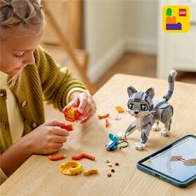 Stavebnica LEGO® Creator 3 v 1 31163 Hravá kočka 

 obrázok produktu 8 z 8