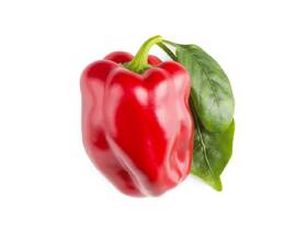 Semienka Click and Grow Červená paprika, sladká (3 ks) 

 obrázok produktu 1 z 3