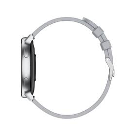 Inteligentné hodinky LAMAX Aura strieborné

 obrázok produktu 6 z 10