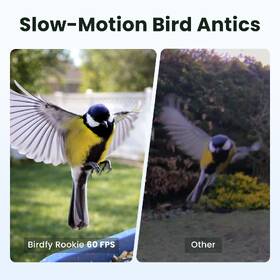 Vtáčie krmítko Birdfy Rookie Lite, s kamerou (AI predplatné) hnedý

 obrázok produktu 3 z 6