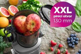 Odšťavovač Concept JUICY LO7120 sivý

 obrázok produktu 17 z 23