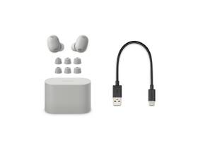 Slúchadlá Sony Noise Cancelling WF-1000XM6 - Prodloužená záruka zdarma po registraci strieborná

 obrázok produktu 4 z 7