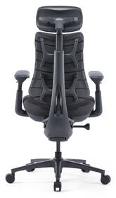 Ergonomická stolička LiberNovo Omni Pro Graphite, 48cm 

 obrázok produktu 2 z 17