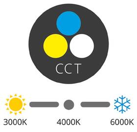 LED stropné svietidlo ECOLITE LED-CSL-CCT/12W/BI 

 obrázok produktu 4 z 5
