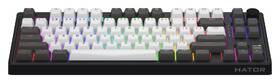 Klávesnica HATOR Skyfall 80 PRO Wireless, US layout čierna/biela

 obrázok produktu 2 z 7