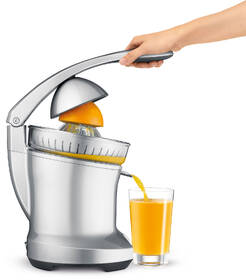 Lis na citrusy SAGE BCP600 strieborný

 obrázok produktu 1 z 2