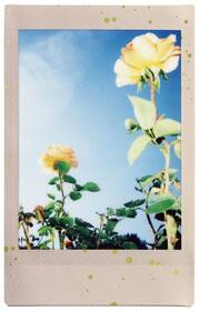 Instantný film Fujifilm Instax Mini Soft Glitter 

 obrázok produktu 2 z 11