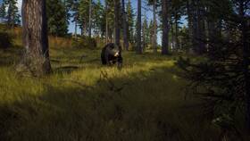 Hra THQ Nordic Way of the Hunter 

 obrázok produktu 2 z 11