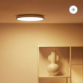 LED stropné svietidlo WiZ Rune Ceiling 21W, RGB čierne

 obrázok produktu 3 z 10