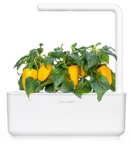 Semienka Click and Grow Sladká žltá paprika - 3 ks 

 obrázok produktu 3 z 3