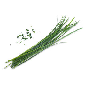 Semienka Véritable Lingot Čínska pažítka - BIO 

 obrázok produktu 1 z 1