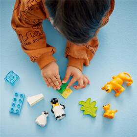 Stavebnica LEGO® DUPLO® 10442 Rodinky divokých zvierat: Tučniaky a levy 

 obrázok produktu 7 z 9