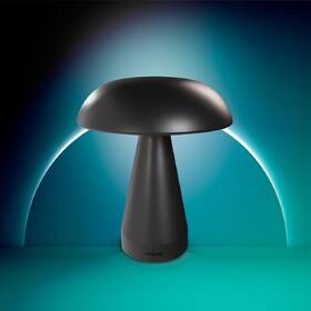 Stolná lampička Philips Mycena DSK215 2W 30-65K B USB čierna

 obrázok produktu 1 z 6