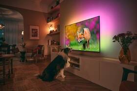 Televízor Philips 43PUS8818 

 obrázok produktu 12 z 12