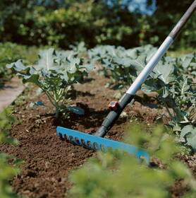 Hrable Gardena Combisystem, 18,5 cm zelené

 obrázok produktu 1 z 3