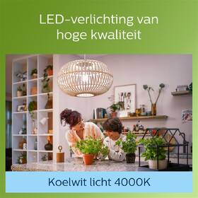 LED žiarovka Philips 40W, filament, A60, E27, neutrální bílá 

 obrázok produktu 3 z 3