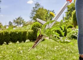 Vytrhávač buriny Gardena 03518 

 obrázok produktu 3 z 4