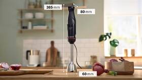 Ponorný mixér Bosch MSM4B674 čierny

 obrázok produktu 16 z 17