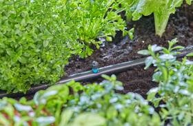 Zavlažovač Gardena MicroDrip System 13319-20 (5 ks) 

 obrázok produktu 3 z 5
