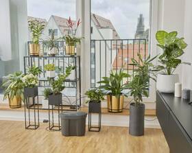 Súprava na zavlažovanie Gardena 13366 

 obrázok produktu 4 z 6