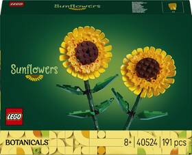 Stavebnica LEGO® Botanicals 40524 Slunečnice 

 obrázok produktu 2 z 3