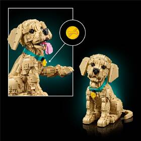 Stavebnica LEGO® Icons 11384 Štěně zlatého retrívra 

 obrázok produktu 2 z 9