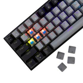 Klávesnica White Shark WAKIZASHI 2, Blue Switch, US layout sivá

 obrázok produktu 1 z 5