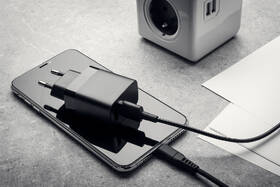 Nabíjačka do siete FIXED 2x USB 17W Smart Rapid Charge + micro USB kábel 1m čierna

 obrázok produktu 6 z 7