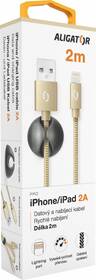 Kábel Aligator Premium USB/Lightning, 2m zlatý

 obrázok produktu 5 z 7