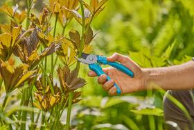 Nožnice záhradné Gardena EasyCut 

 obrázok produktu 1 z 3
