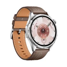 Inteligentné hodinky Huawei Watch GT 6 46 mm NFC sivé

 obrázok produktu 3 z 6
